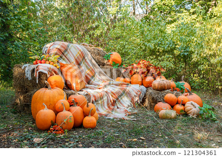 Beautiful autumn location with pumpkins, Halloween Beautiful autumn location with pumpkins, Halloween 121304361