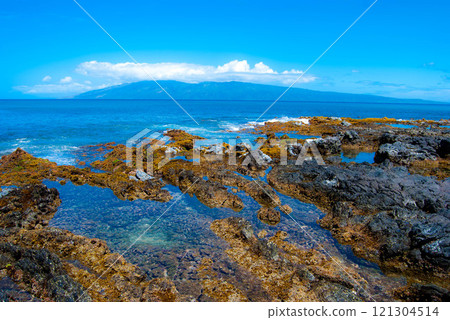 Hawaii coast tidepools - Maui Hawaii coast tidepools - Maui 121304514