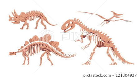 Dinosaur skeletons on white background 121304927