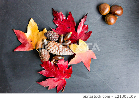 leaf, foliage, autumn 121305109