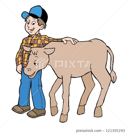 boy farmer character standing near cow. boy feeding farm animal. Cute rural scene with shepherdess hugging adorable calf isolated boy farmer character standing near cow. boy feeding farm animal. Cute rural scene with shepherdess hugging adorable calf isolated 121305293