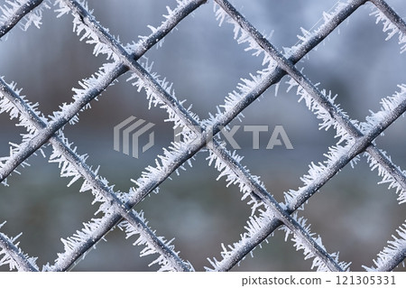 Frosty woven wire fence in cold winter Frosty woven wire fence in cold winter 121305331