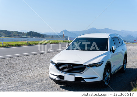 white SUV type passenger car 121305517