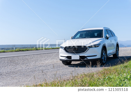 白色SUV型乘用車 121305518