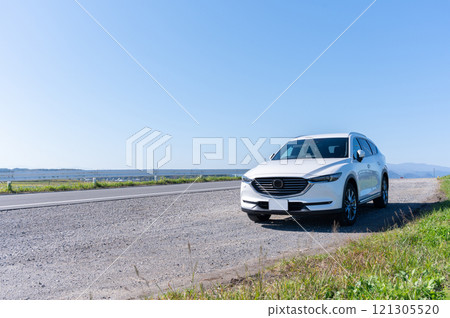 white SUV type passenger car 121305520