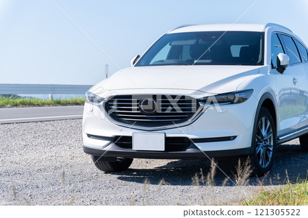 white SUV type passenger car white SUV type passenger car 121305522