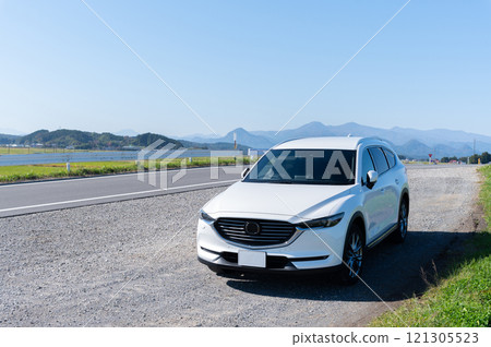 white SUV type passenger car white SUV type passenger car 121305523