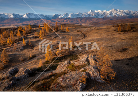 Autumn aerial panorama of Altai mountains and golden larch forest Autumn aerial panorama of Altai mountains and golden larch forest 121306373