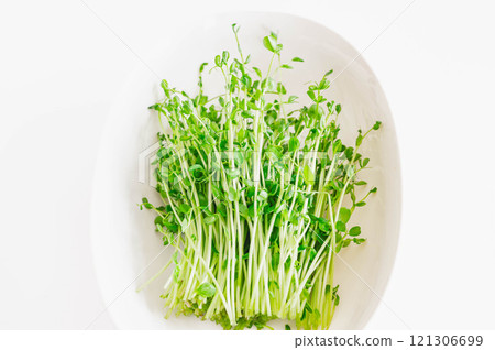 Harvested bean sprouts, re-cultivated Harvested bean sprouts, re-cultivated 121306699