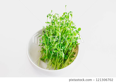 Harvested bean sprouts, re-cultivated 121306702