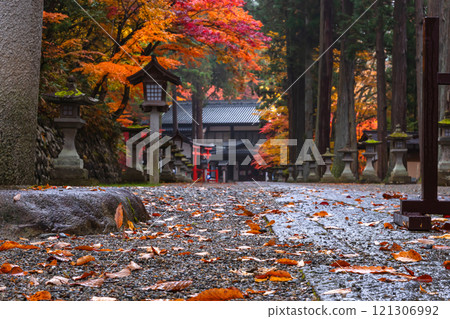 241115 日枝神社 z010 121306992
