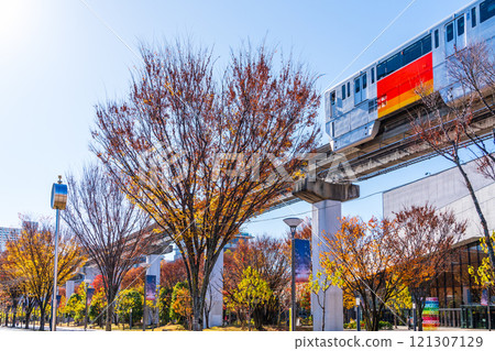 Tachikawa City Autumn Sunshine Road 121307129