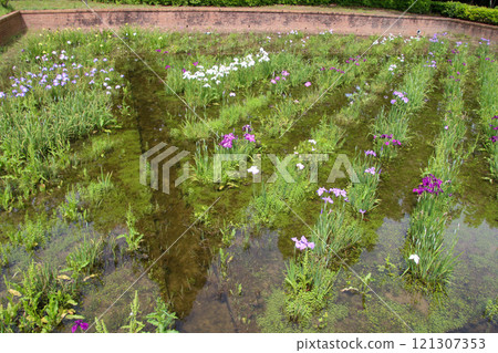 Sho Sakai Park 121307353