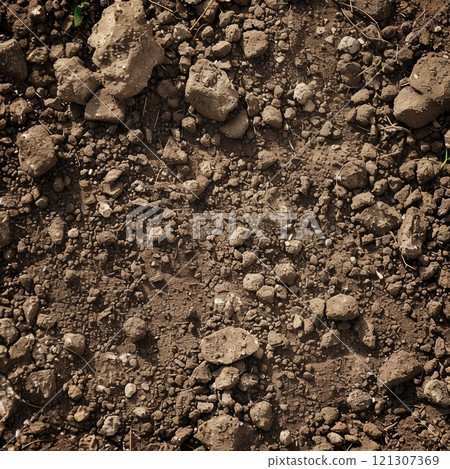 Textured surface of raw brown dirt features small stones, pebbles, and earth clumps, illuminated by bright sunlight in an open area Textured surface of raw brown dirt features small stones, pebbles, and earth clumps, illuminated by bright sunlight in an open area 121307369