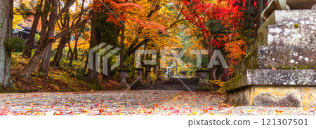 241115 Hie Shrine z098～103-S 121307501