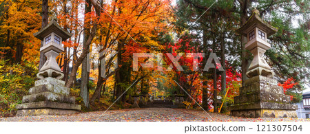 241115 日枝神社 z140-148-S 241115 日枝神社 z140-148-S 121307504