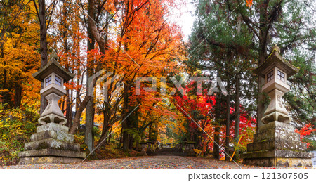 241115 Hie Shrine z149-158-S 241115 Hie Shrine z149-158-S 121307505