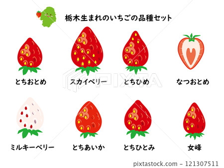 草莓品種集 栃木縣 121307511