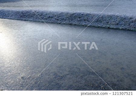 冰雪覆蓋的稻田 121307521