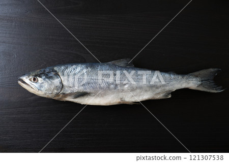 新捲鮭魚（北海道雄白鮭魚） 121307538