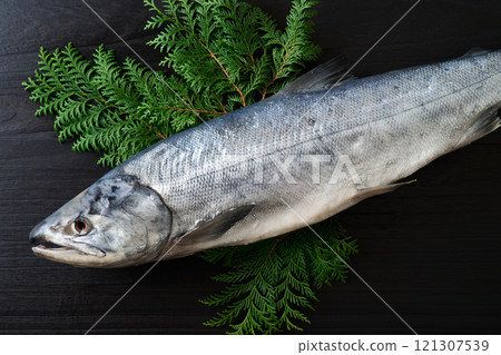 新捲鮭魚（北海道雄白鮭魚） 121307539