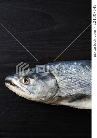 新捲鮭魚(北海道雄白鮭魚) 新捲鮭魚(北海道雄白鮭魚) 121307549