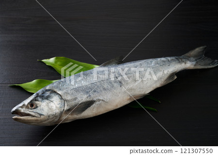 Aramaki Salmon (Hokkaido male white salmon) 121307550