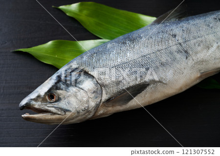 Aramaki Salmon (Hokkaido male white salmon) 121307552