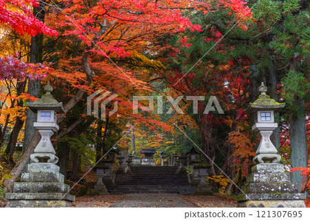 241115 日枝神社 z167 121307695