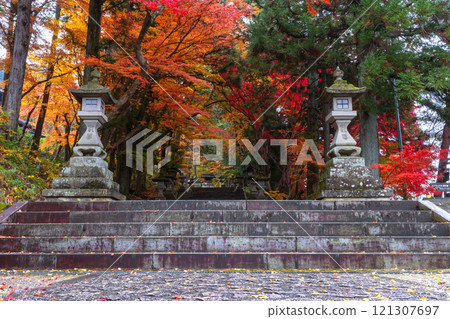 241115 Hie Shrine z171 121307697