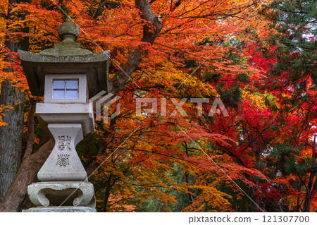 241115 Hie Shrine z177 241115 Hie Shrine z177 121307700