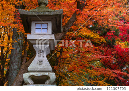 241115 Hie Shrine z183 241115 Hie Shrine z183 121307703