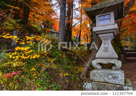 241115 Hie Shrine z192 121307704