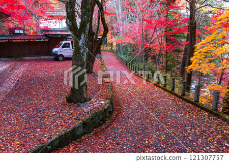 241118 Hie Shrine z007 121307757