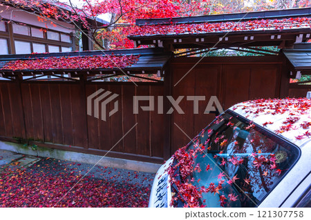 241118 Hie Shrine z009 241118 Hie Shrine z009 121307758