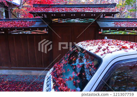 241118 Hie Shrine z011 241118 Hie Shrine z011 121307759
