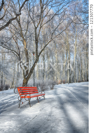 Incredible view of park bench and trees covered by heavy snow. Incredible view of park bench and trees covered by heavy snow. 121307770