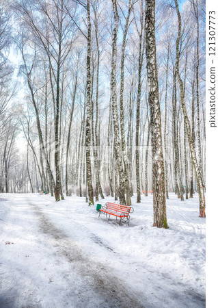 Majestic view of park bench and trees covered by heavy snow. 121307773