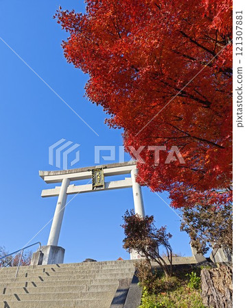 京都長岡京 長岡天滿宮 秋葉 121307881