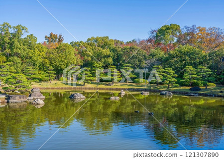 日本花園的秋景，松樹絢麗 121307890