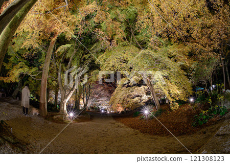 三十三寺園位於長崎縣雲仙市。它以其美麗的秋季樹葉而聞名。 三十三寺園位於長崎縣雲仙市。它以其美麗的秋季樹葉而聞名。 121308123