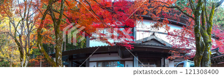 241118 Hie Shrine z056-067-S 241118 Hie Shrine z056-067-S 121308400