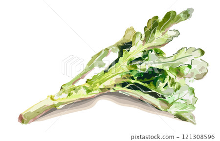 水彩畫的花環菊花插圖 121308596