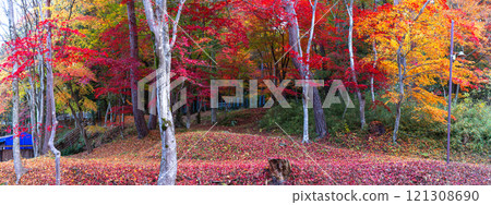 241118 日枝神社 z036-045-S 121308690