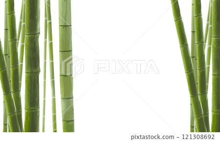Watercolor bamboo forest frame 121308692
