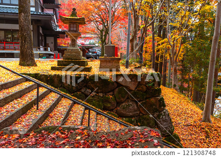 241118 Hie Shrine z096 121308748