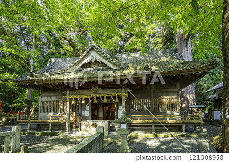 靜岡縣掛川市 濟仁八幡神社參拜殿 靜岡縣掛川市 濟仁八幡神社參拜殿 121308958