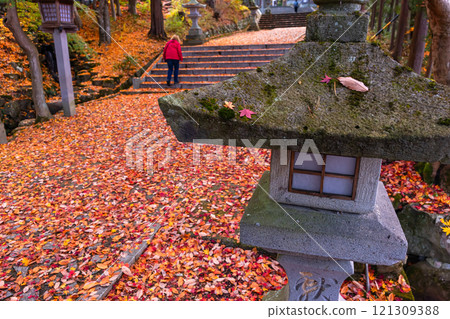 241118 日枝神社 z134 121309388