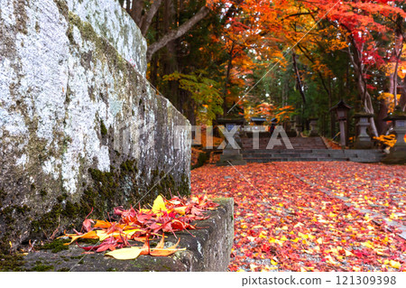 241118 Hie Shrine z168 121309398