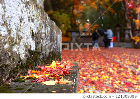 241118 Hie Shrine z171 121309399